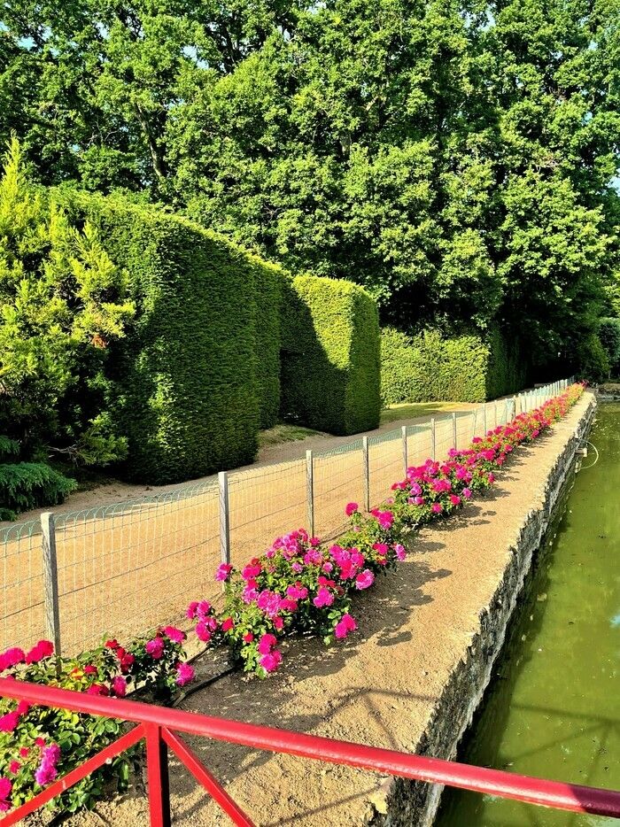 Besuchen Sie diesen englischen Park im Château de Saint-Germain-lès-Buxy anlässlich des Rendez-vous aux jardins. Überqueren Sie die Brücken über den mit Rosen gesäumten Graben, unter dem Blick der Gar