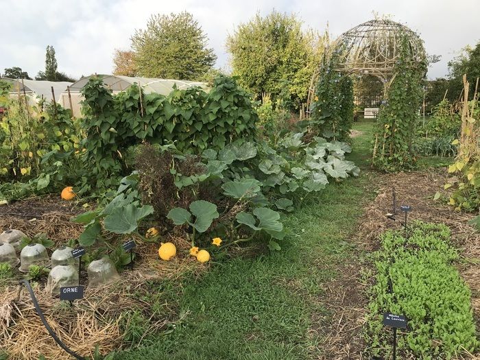 Im Herzen der wunderschönen Domaine de Chambray spazieren Sie durch den 4.400 m² großen Gemüsegarten mit Mauern aus dem 19\. Jahrhundert in Begleitung eines Animateurs des CRÉATION, einem Ort, an dem