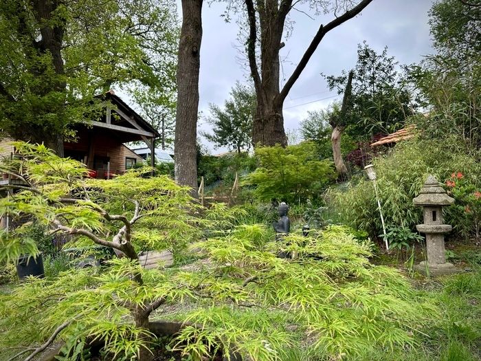 Kommen Sie und malen Sie frei im Garten.