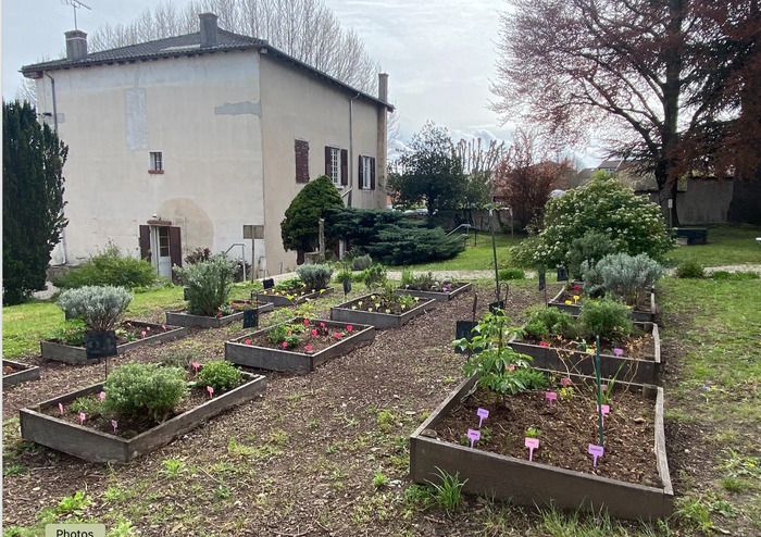 Überqueren Sie die Schwelle des Anwesens und entdecken Sie in seinem Herzen den Garten, umgeben von den Bögen der Glyzinie. Obstbäume, Gemüsepflanzen, Heilpflanzen, Gewürze, Gewürze und Blumen gedeih…