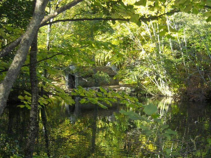 Entdecken Sie das Gut von Charance, seinen englischen Park, vor dem Schloss seinen Terrassengarten (mit bemerkenswertem Garten gekennzeichnet) und seinen Panoramablick.