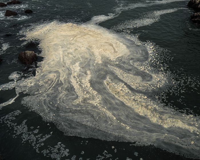 Quelque chose se prépare sous cette lumière froide entourée par l’obscurité : la Baleine se tue à la tâche pour nettoyer le sol poussiéreux, la Chouette se change et se prépare ...