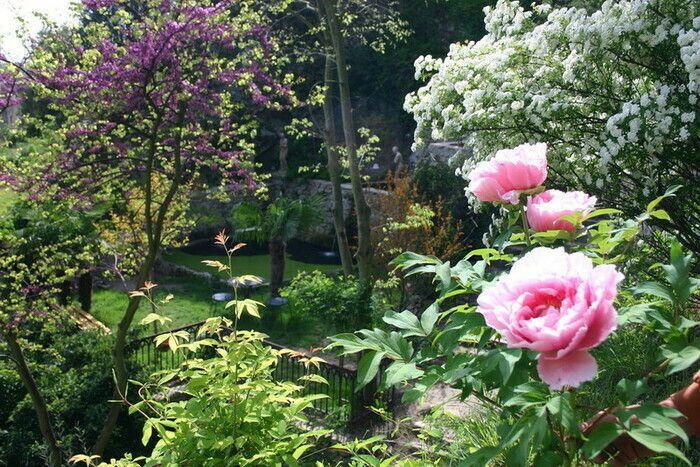 Genussmomente im Garten Eden