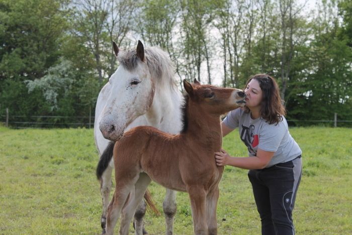 Découverte des animaux de la ferme du Ranch du Pont Urgin