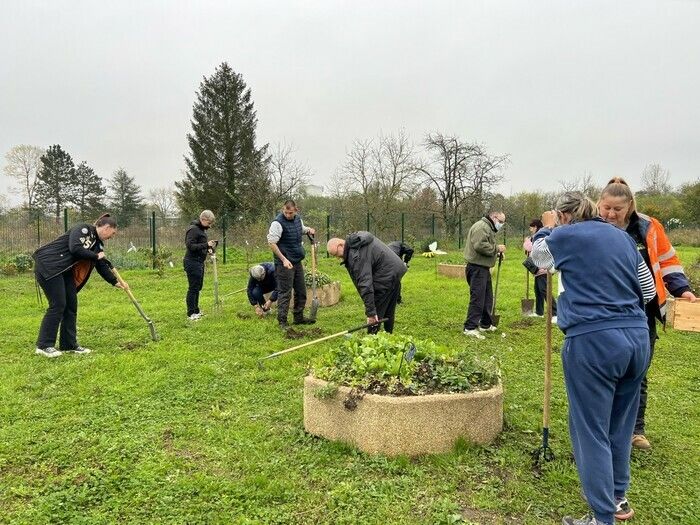 Participez à un atelier de permaculture au jardin du Prinvault le jeudi 14 novembre à 14h. Plantation de bulbes et récolte de plantes aromatiques.