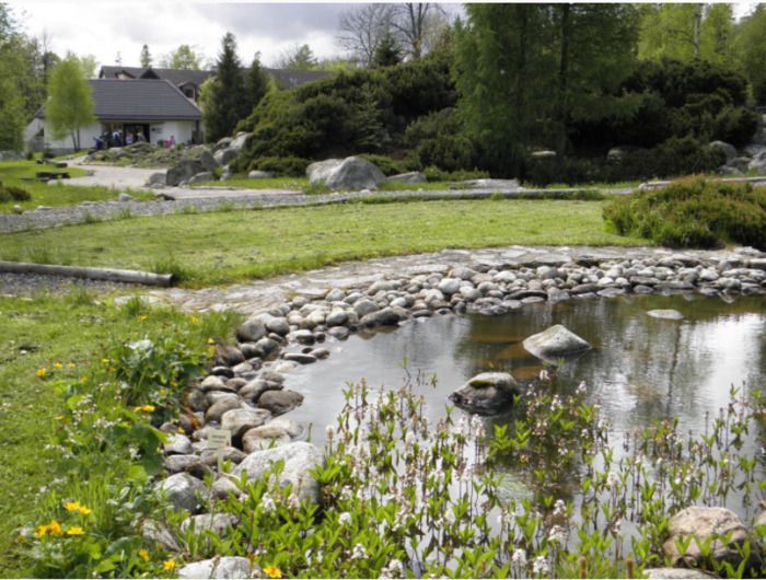 In der Exposition der Tatra Natur können die Besucher wertvolle und gefährdete Arten der Tatra Flora zusammen mit Bäumen, die in der Tatra wachsen entdecken. Auf einer Fläche von 3,2 Hektar gibt es F…