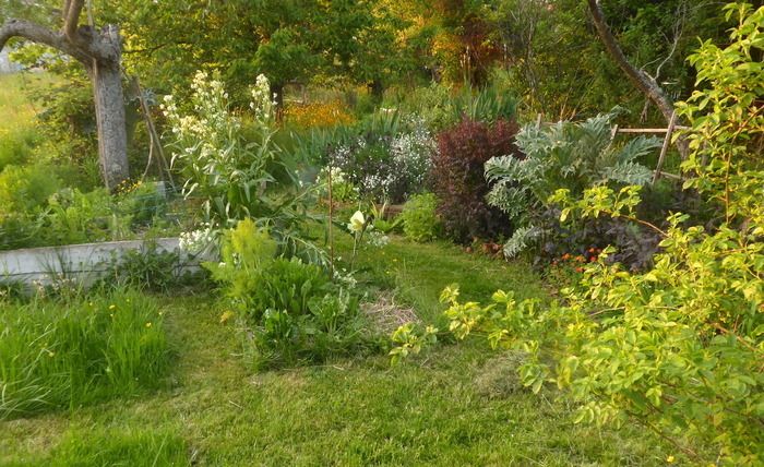 Dieser private Garten von 1900 Quadratmetern, von denen ein Teil vor kurzem erworben wurde, ist ein Testgelände für Techniken zur Wiederherstellung der Biodiversität auf zwei ursprünglich sehr armen P