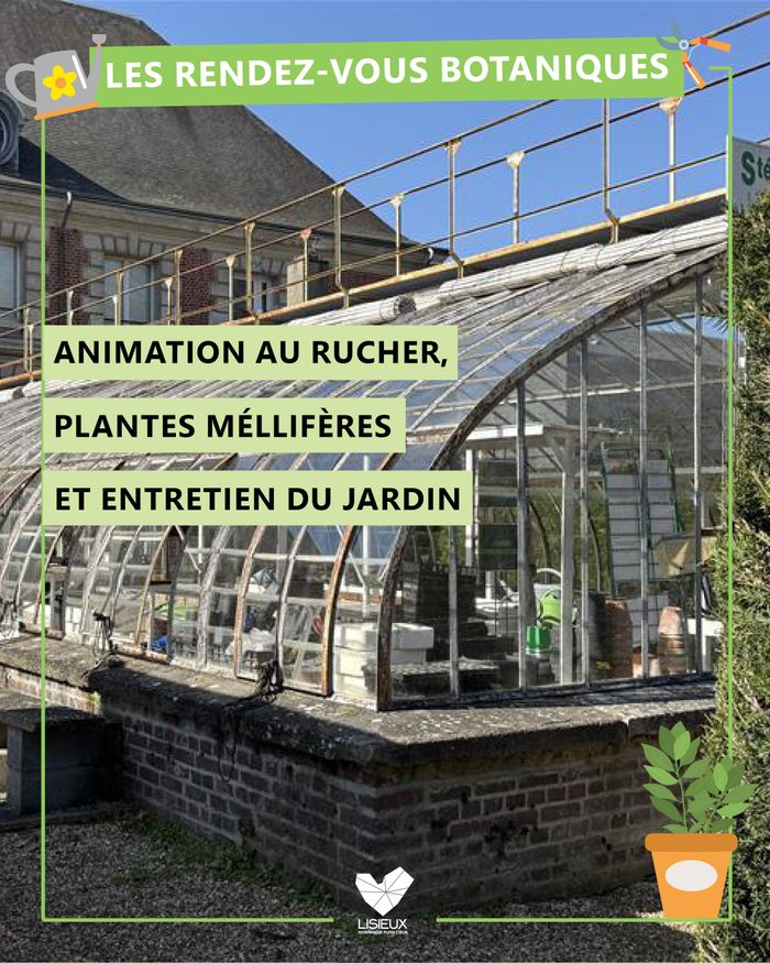 Un rendez-vous botanique proposé par la Société d'Horticulture et de Botanique de Lisieux le mercredi 4 novembre !