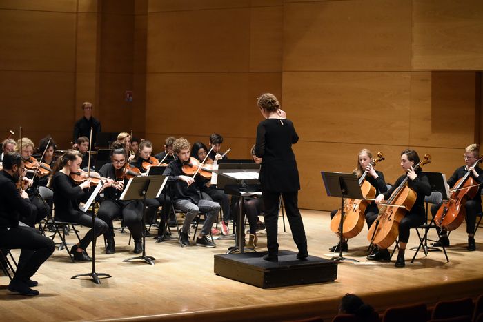 Conférence au Conservatoire de Tourcoing, auditorium Albert Roussel Autour du Prélude à l’après-midi d’un faune