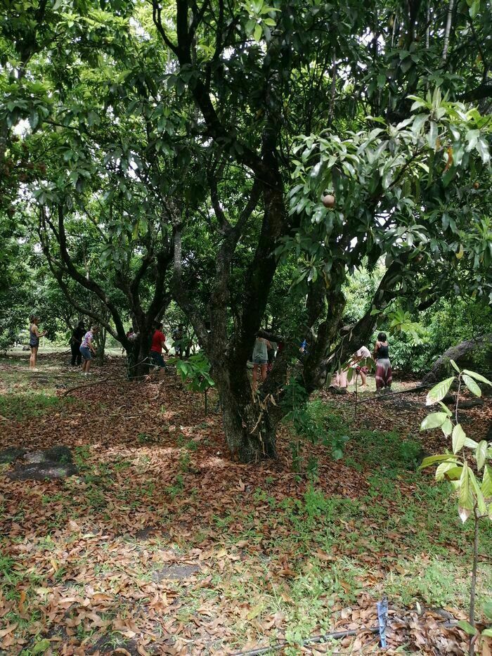 Der extrabiordinaire Garten ist ein Garten, der der Biodiversität und der natürlichen Landwirtschaft gewidmet ist