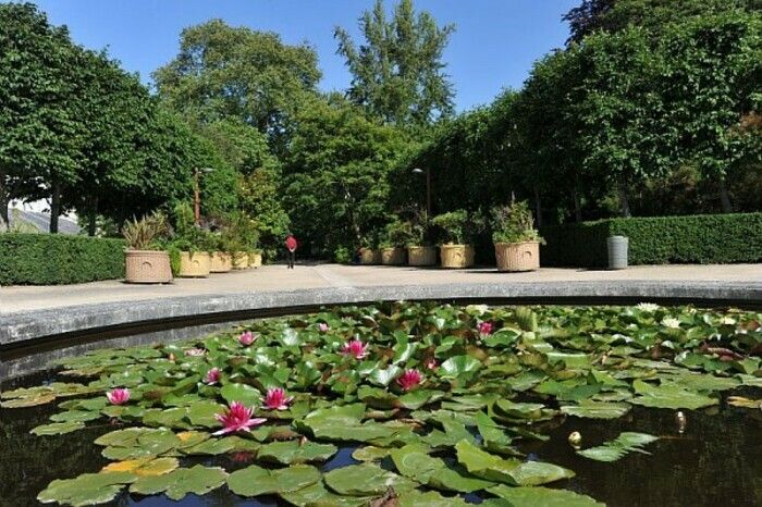 Der Jardin des Plantes wurde im 17\. Jahrhundert gegründet und wurde 1800 zum Botanischen Garten. Heute präsentiert er Pflanzensammlungen aus aller Welt und fünf Kontinenten.