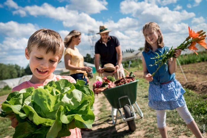 Kommen Sie und schlendern Sie durch unseren großen Gemüsegarten und schönen Obstgarten, riechen Sie den Duft von Kräutern, berühren Sie die rauen Stämme von Obstbäumen, detaillieren Sie alle Farben vo