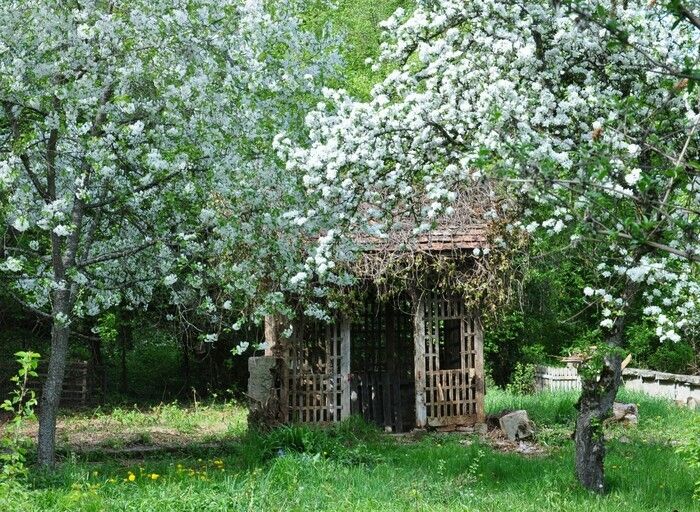 Den alten Klostergarten der Dominikaner-Terziarinnen auf dem kleinen Heuberg entdecken.