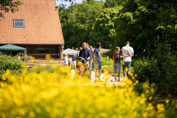 Das Nationale Botanische Konservatorium von Bailleul öffnet seine Türen für einen außergewöhnlichen Tag im Zeichen der Wildpflanzen!