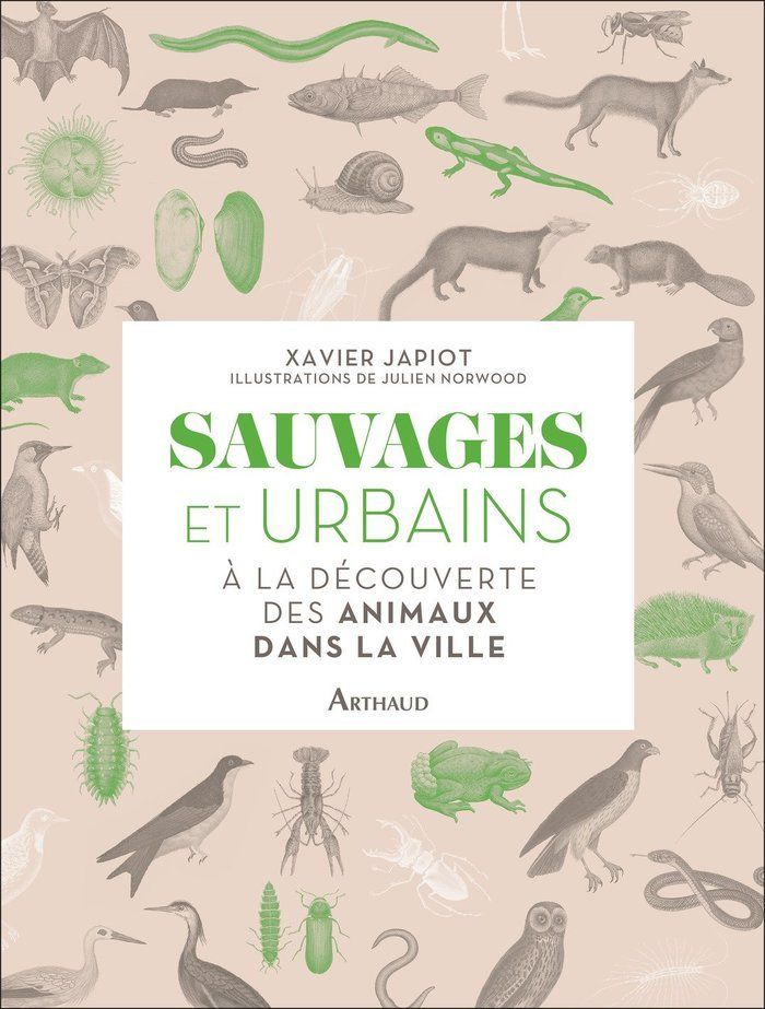 La Ville de SAINT-DIZIER et la LPO CHAMPAGNE-ARDENNE organisent une conférence intitulée : SAUVAGES ET URBAINS à la découverte des Animaux dans la ville