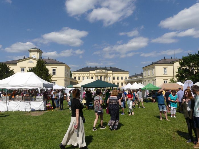 Die Europäischen Tage der Pflanzen- und Gartenkunst, die in Ungarn im Park des Karolyi-Herrenhauses in Fehérvarcsurgo und in ganz Europa stattfinden, werden einen ganz besonderen Geschmack haben, da..