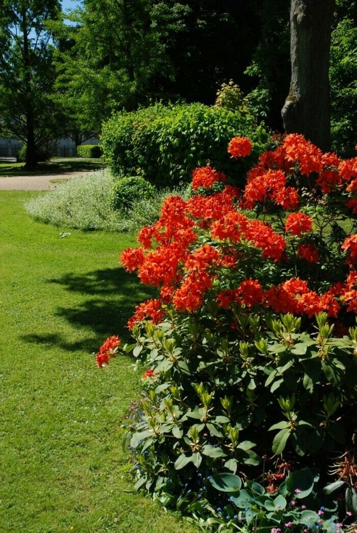 Nehmen Sie an einem kreativen Workshop teil, der vom Bauernhof Les Messicoles mit frischen Blumen oder getrockneten Blumen angeboten wird.