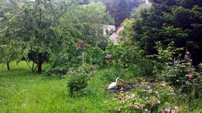 Wenn es ein magischer Ort in Valmondois mit seinem Charme und seiner Gelassenheit ist, dann ist es dieser Obstgarten von 2.000 m² etwas versteckt, im Herzen des Dorfes. Es beherbergt einen Blumengarte