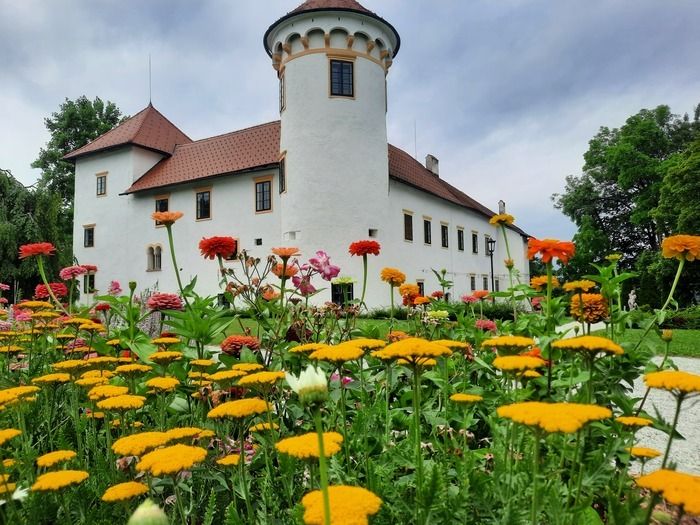 V okviru projekta Dobimo se na vrtovih, ki je nastal na pobudo francoskega ministrstva za kulturo že dvajset let nazaj in se mu letos že drugič pridružujemo tudi na gradu Bogenšperk, bomo od 31. maja…