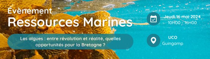 Les algues : entre révolution et réalité, quelles opportunités pour la Bretagne ?