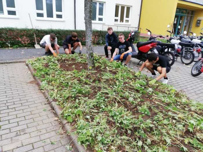 Die Schüler des Hermann Pistor Gymnasiums laden ein zum „Sinnesabenteuer Garten“.