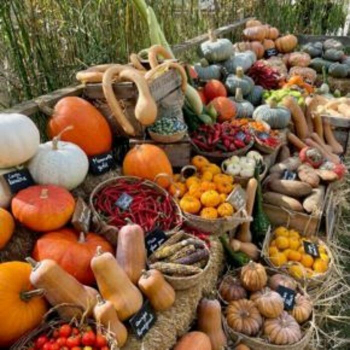 Jardin presqu’extraordinaire mis en scène