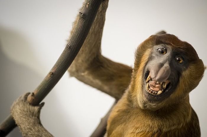 Une nocturne effrayante vous attend au musée le mercredi 31 octobre de 18h à minuit !