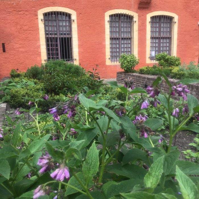 Dans le cadre du "Rendez-vous aux jardins 2019", découvrez les collections du musée sous le signe des fleurs !