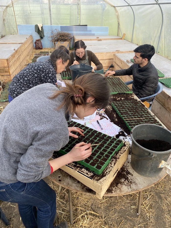 atelier jardinage “Plante tes semis” avec l’association L.E.S.F.L.E.U.R.S. à la Maison Montreau