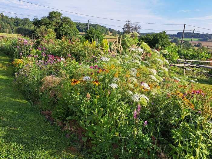 Anlässlich des Gartentreffens laden wir Sie ein, Ihre Liebe zum Gärtnern mit Liliane im Garten «Paradis de Mamili» zu teilen.