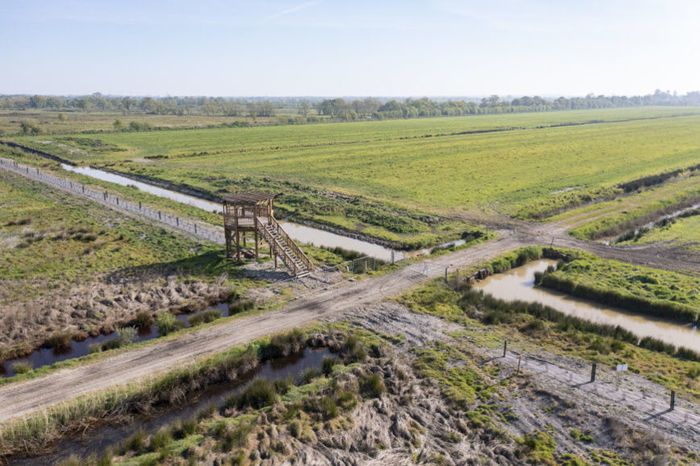 La balade vous emmènera dans les marais de Parempuyre. Accompagnés de l'animatrice nature, vous partirez en observation des oiseaux d'eau et des traces de mammifères...