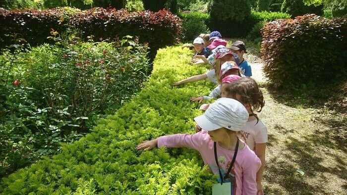 - Sinnlicher Spaziergang im Jardin d'Elle (streicheln, riechen, schmecken...)