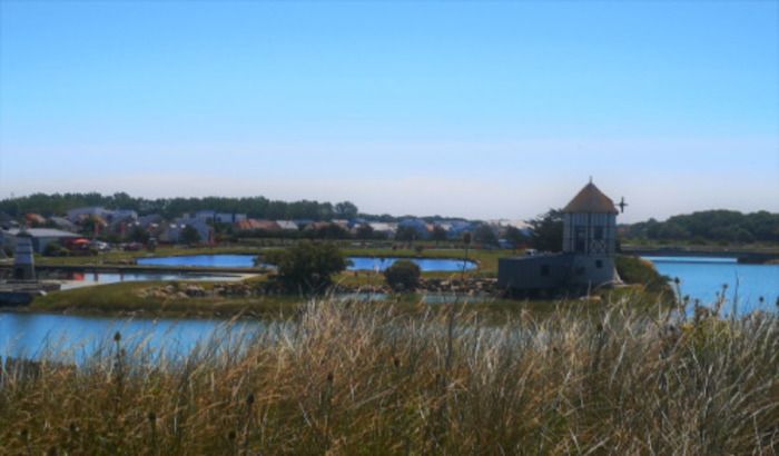 Au cours de cette visite guidée, vous découvrirez l'histoire insolite du port et sa pêche huîtrière dès le XVIIe siècle, mais aussi l'histoire de l’île de plaisance, autrefois comparable à un parc d'…