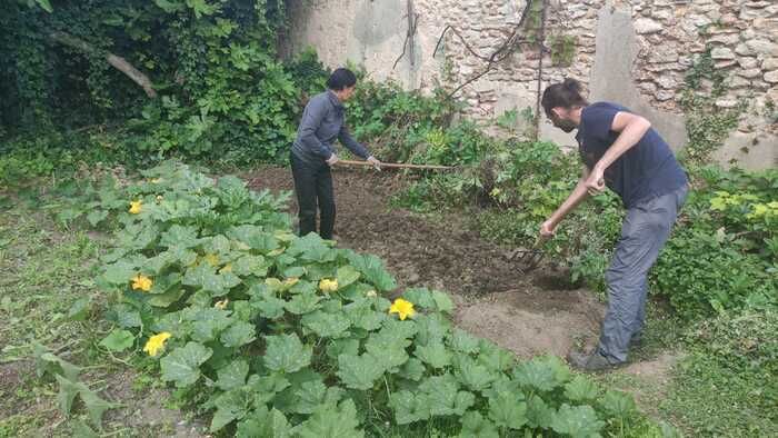 Die freiwilligen Gärtner der MJC bieten Ihnen eine Tour durch den Gemüsegarten, in dem verschiedene alte Gemüse vorhanden sind. Präsentation der verschiedenen Arten von Plantagen, an einem Ort, an dem