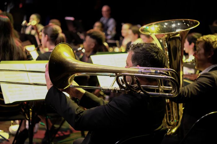 Orchestre à vent et musiques actuelles - direction Pierre Petit