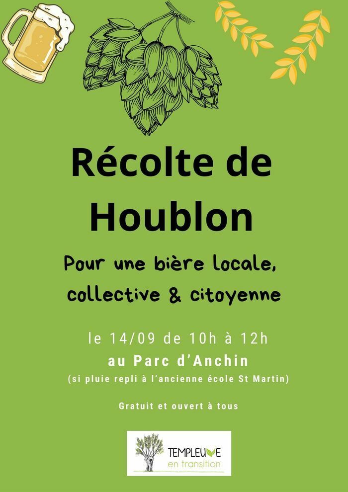 Récolte collectives des houblons de nos jardins