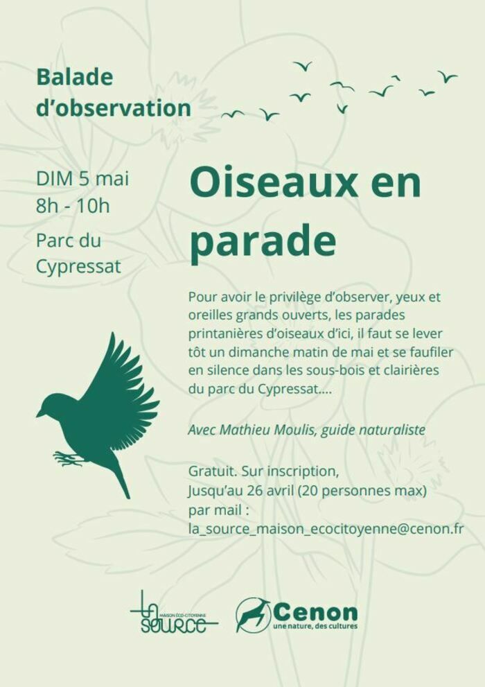 Balade d'observation des oiseaux au parc du Cypressat, dans le cadre du Printemps de la biodiversité.