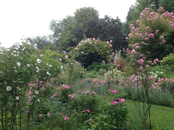 Willkommen im englischen Park der von der Bèze durchquerten und im 19\. Jahrhundert neu gestalteten Abtei von Bèze.