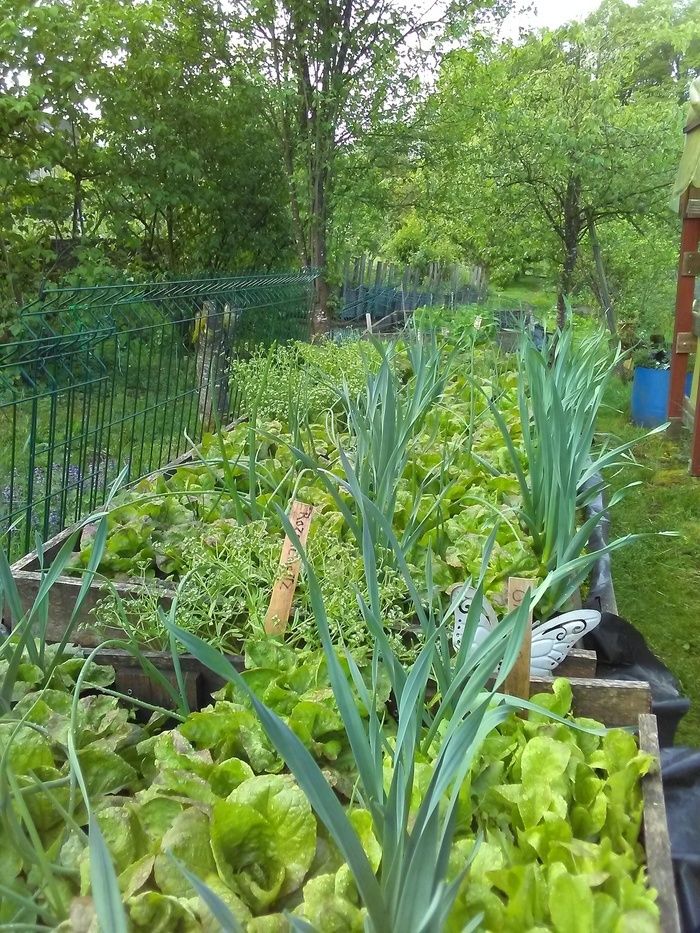 Besuchen Sie den Garten und entdecken Sie die neuen Stadtgärten.