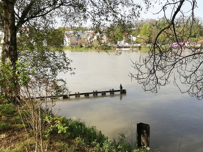 Das CAUE du Val-de-Marne bietet Ihnen an, Joinville-le-Pont und seine Reichtümer dank eines sensorischen Parcours wiederzuentdecken, der für die Ausgabe 2024 der nationalen Veranstaltung Rendez-vous a