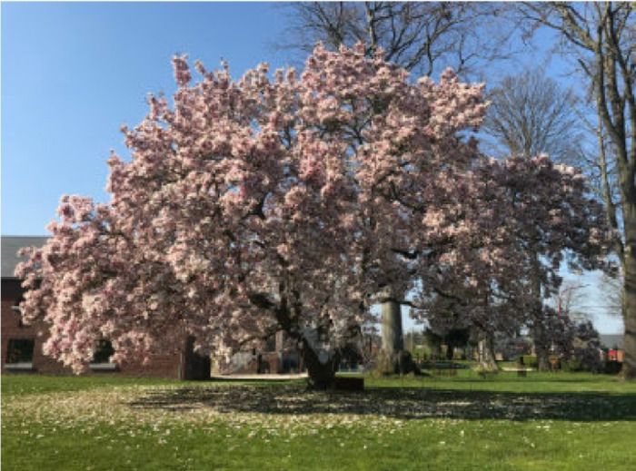 Aktivitäten anlässlich des Wochenendes Parks und Gärten der Wallonie.