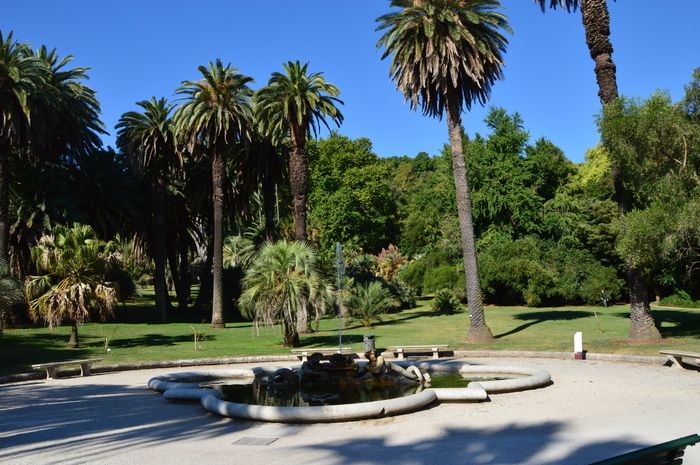 A walk with guided sensory activities, a slow, conscious and progressive immersion in the Botanical Garden, which invites you to slow down and connect with nature in the experimental station ...