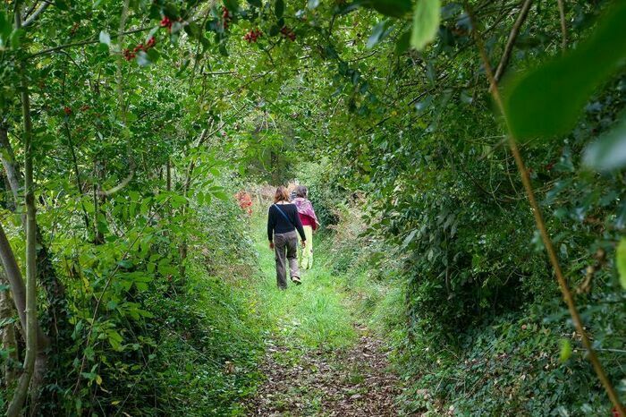 Une balade naturaliste et artistique : après avoir découvert les gardiens des arbres, les participants choisiront un arbre et créeront son gardien avec des éléments naturels.