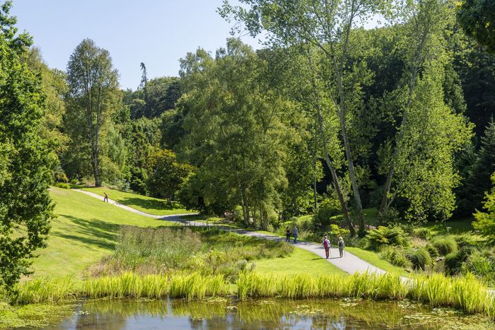 • Kostenlose Gartenführungen um 14.30 und 16.00 Uhr.