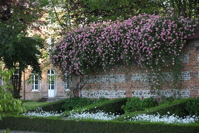 Kommen Sie und entdecken Sie (wieder)den Skulpturengarten, einen von Jean-Marc de Pas geschaffenen, sich ständig weiterentwickelnden Raum der Poesie mit 70 Skulpturen, die das Leben und die Natur hymn