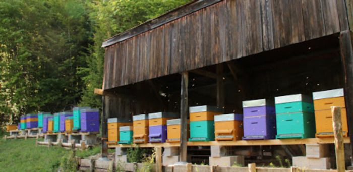 Venez nous rencontrer dans notre boutique à la Miellerie des Combes, découvrir nos  produits issus de l'apiculture et goûter nos différents miels.