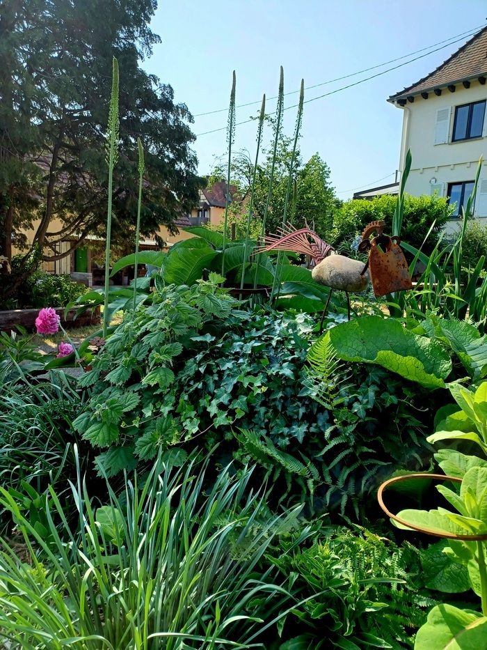 Rund um das Haus aus den 30er Jahren werden 15 Ar Garten gebaut. Entdecken Sie die ersten Einrichtungen und Pflanzungen dieses Gartens, der Originalität ausstrahlt.