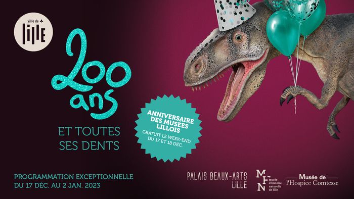 Le Musée d’histoire naturelle, le Palais des Beaux-Arts et le Musée de l’Hospice Comtesse fêtent tous leurs anniversaires, respectivement 200, 130 et 60 ans, du 17 décembre au 2 janvier.