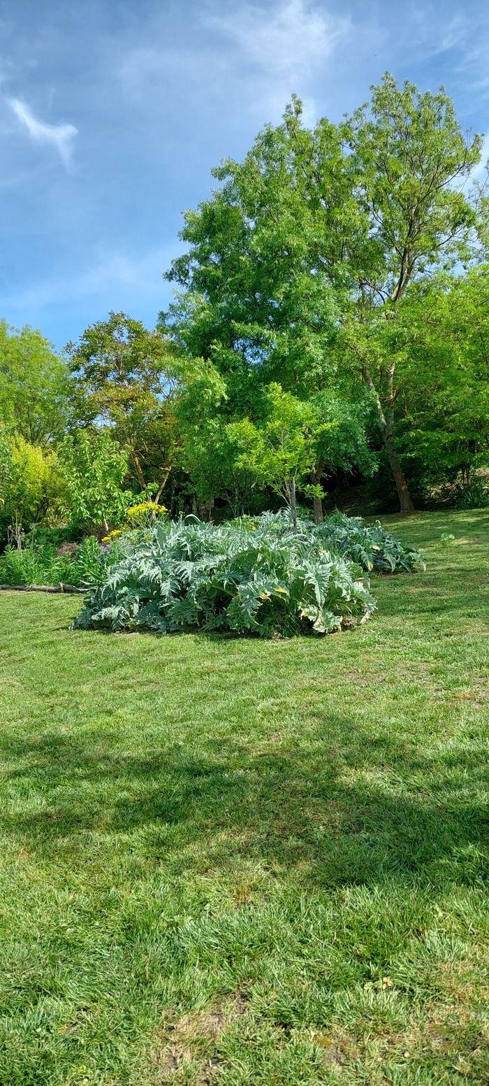 Besuch eines privaten Gartens mit farbigen Pflanzen, sogenannten Tinkturen. Die Besichtigungen werden organisiert, da im Garten nicht zu viele Besucher Platz finden. Die Besichtigungen werden kommenti