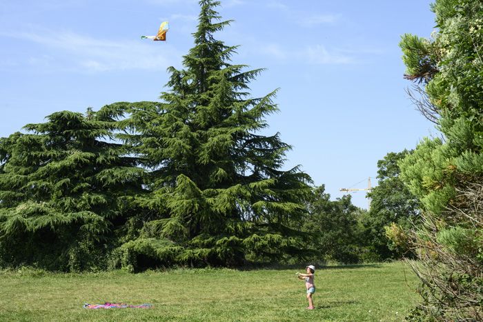 BALADE SPECTACLE /Les participants sont amenés à appréhender la biodiversité et ses enjeux autrement, de façon ludique et imagée ! Une balade jalonnée par 3 arrêts où des contes seront mis en musique.